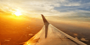 Why its important to have a travel agent