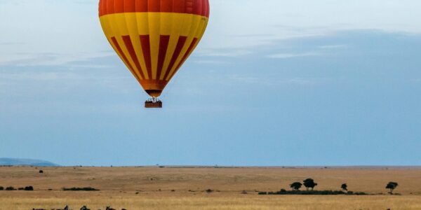 Luxury African Safari South Africa
